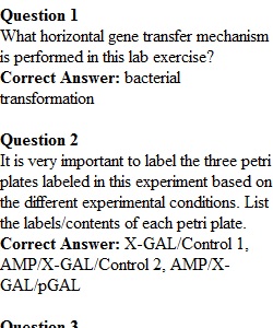 Pre-Lab Quiz 7